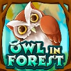 Owl In Forest screenshot