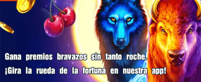 Siente la emoción del casino